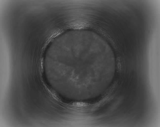 X0000103320590200810060956