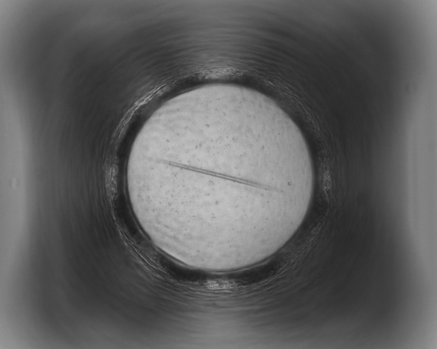X0000103320591200810060956