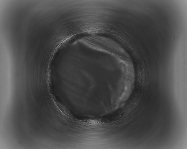 X0000103320592200810060956