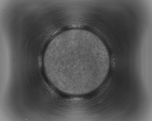 X0000103320593200810060956