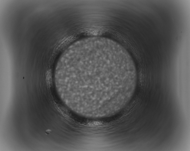 X0000103320594200810060956