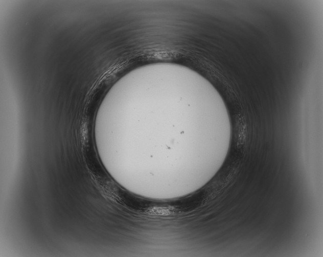 X0000103320595200810060956
