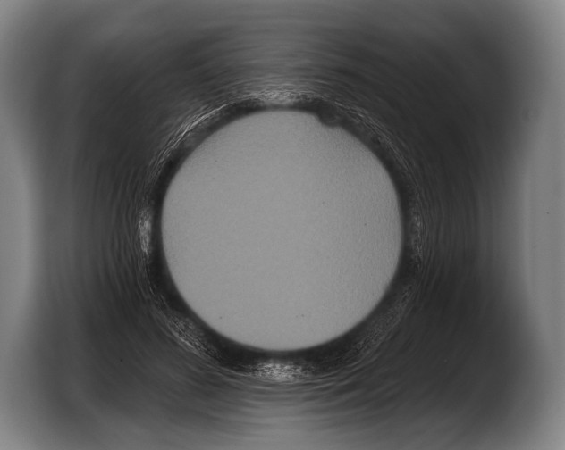 X0000103320596200810060956