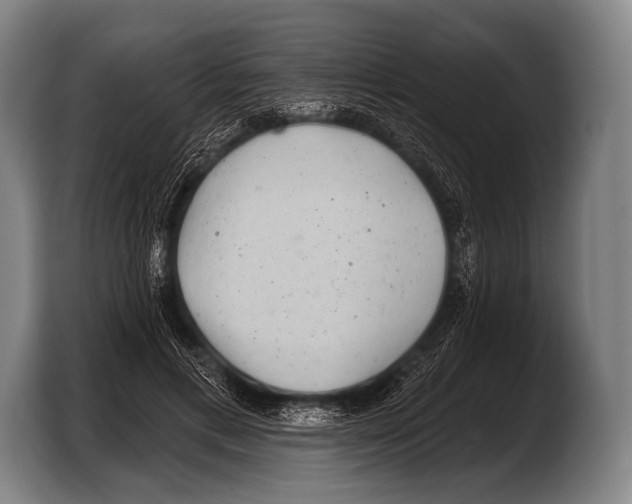 X0000103320597200810060956