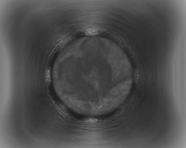 X0000103320598200810060956