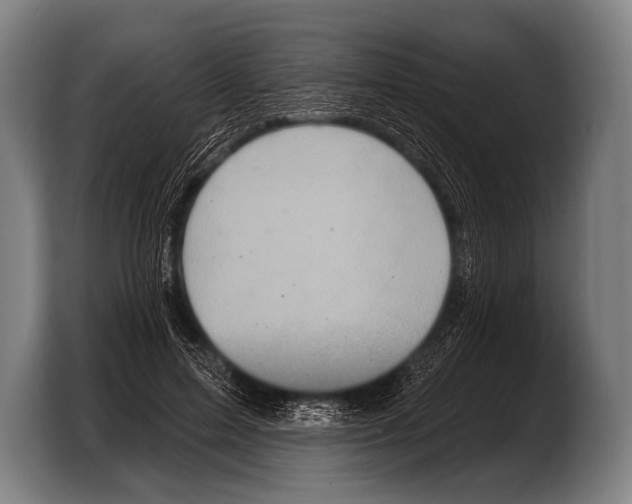 X0000103320599200810060956
