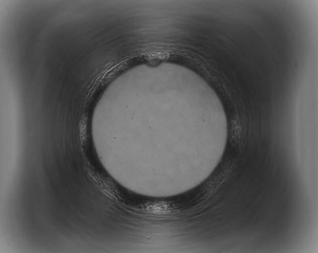 X0000103320600200810060956