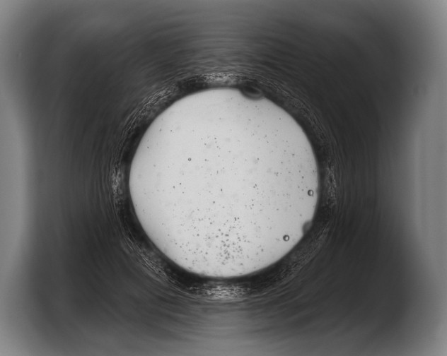 X0000103320601200810060956