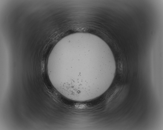 X0000103320602200810060956