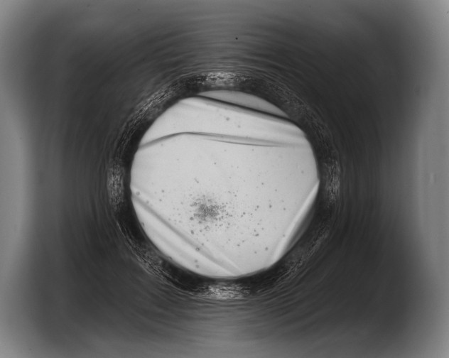 X0000103320603200810060956
