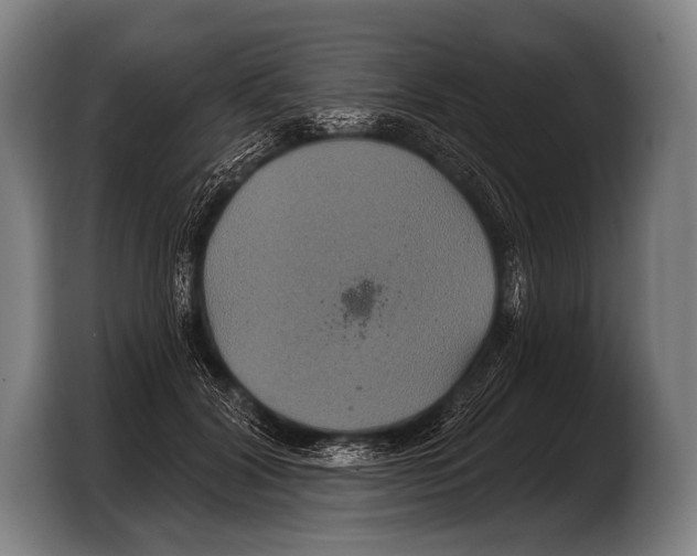 X0000103320604200810060956