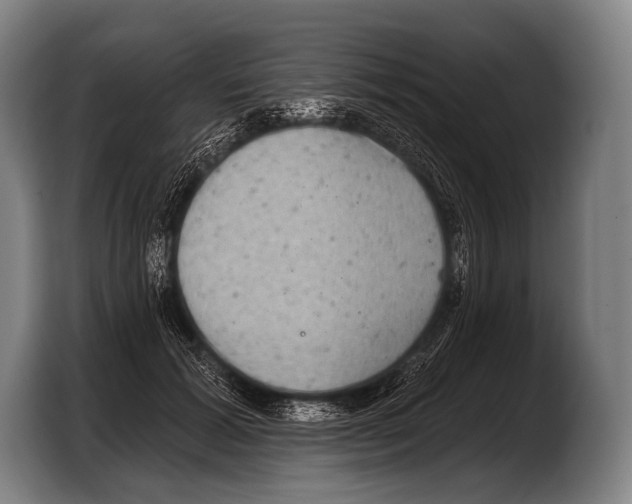 X0000103320605200810060956