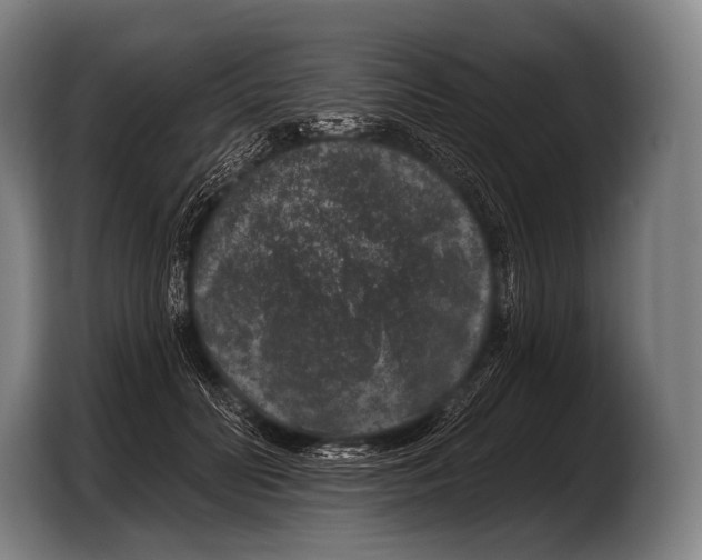 X0000103320606200810060956