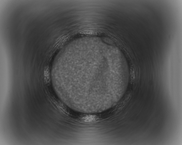 X0000103320609200810060956