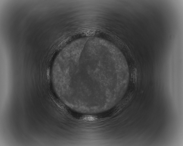 X0000103320610200810060956