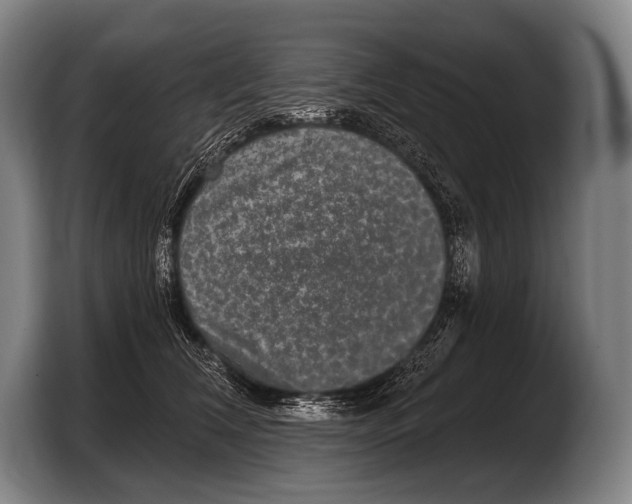 X0000103320612200810060956