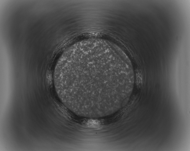 X0000103320613200810060956