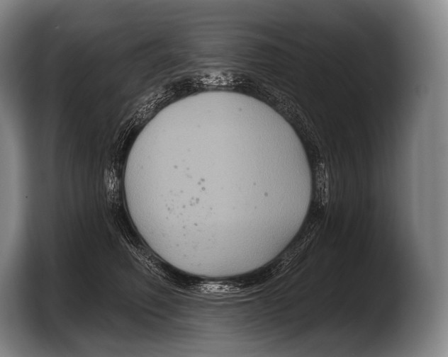 X0000103320614200810060956
