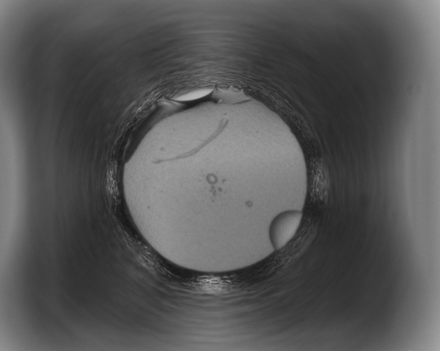 X0000103320616200810060956