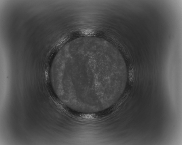 X0000103320618200810060956
