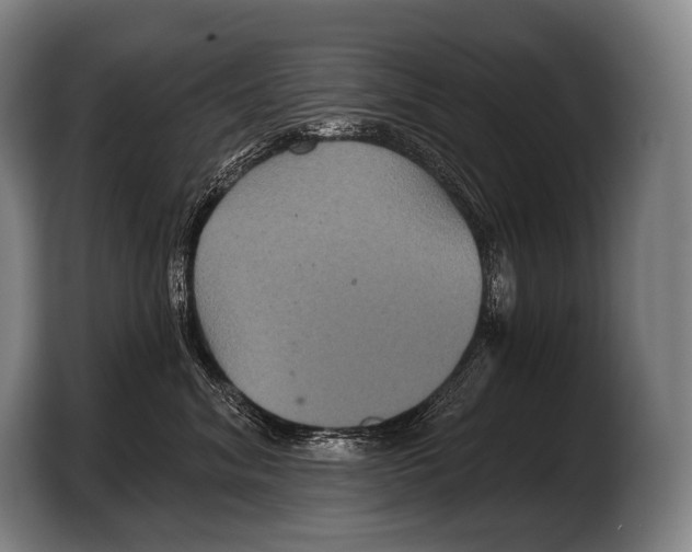 X0000103320620200810060956