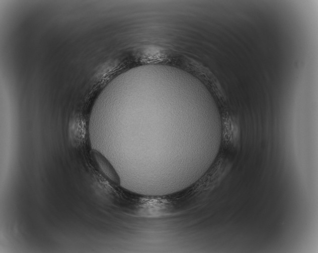 X0000103320621200810060956