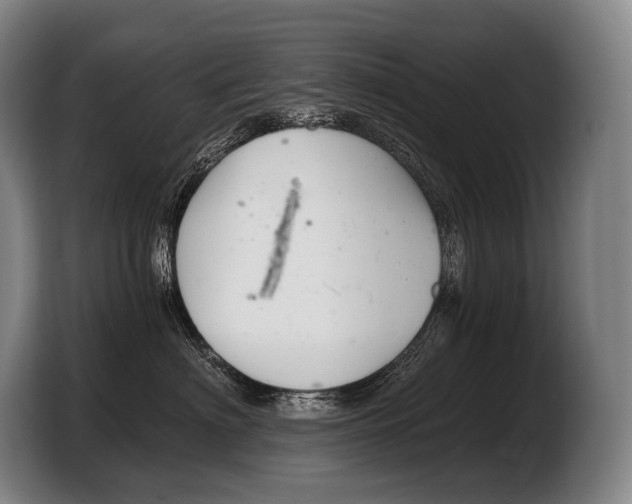 X0000103320622200810060956