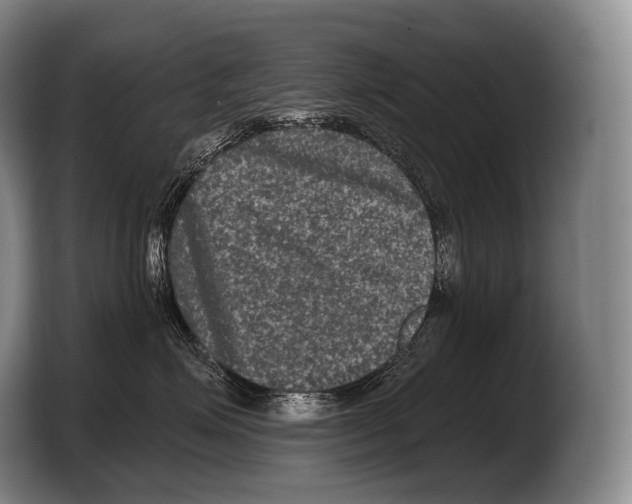 X0000103320623200810060956