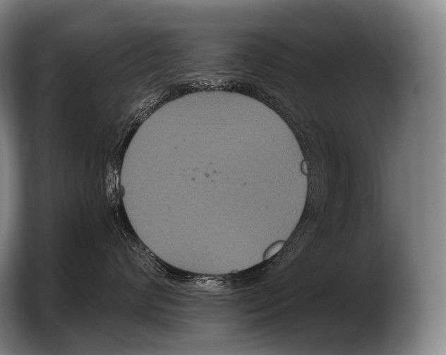 X0000103320624200810060956
