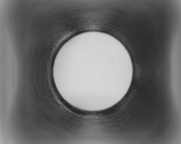 X0000103320625200810060955