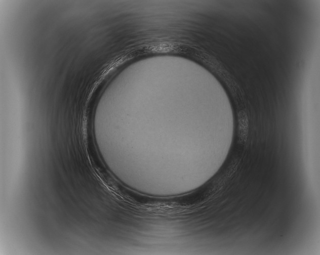 X0000103320626200810060955
