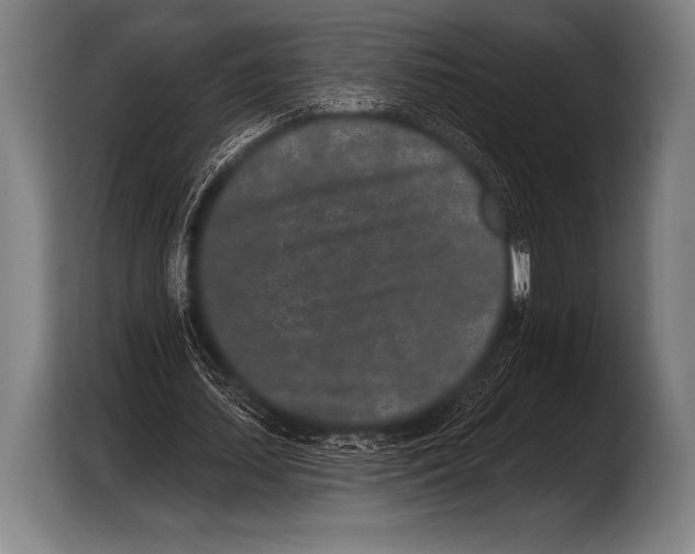 X0000103320627200810060955