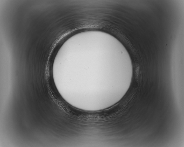 X0000103320628200810060955