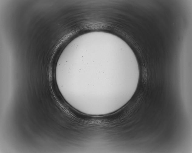 X0000103320629200810060955