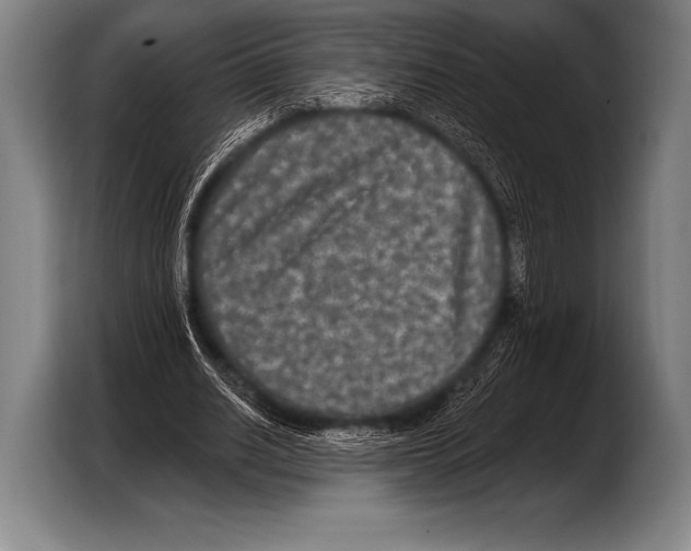X0000103320630200810060955