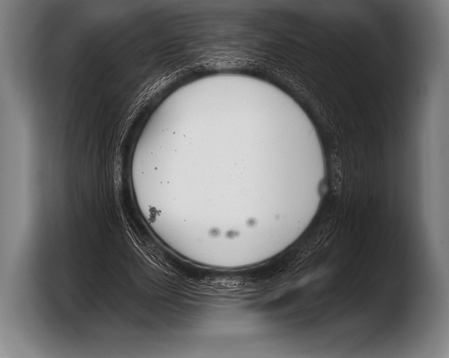 X0000103320631200810060955