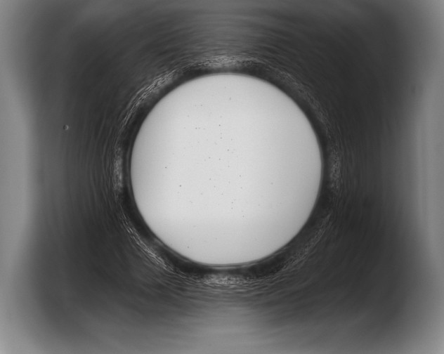 X0000103320633200810060955