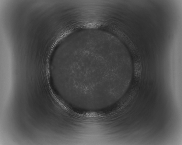 X0000103320634200810060955