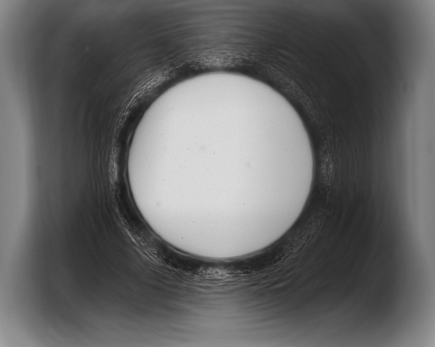 X0000103320635200810060955