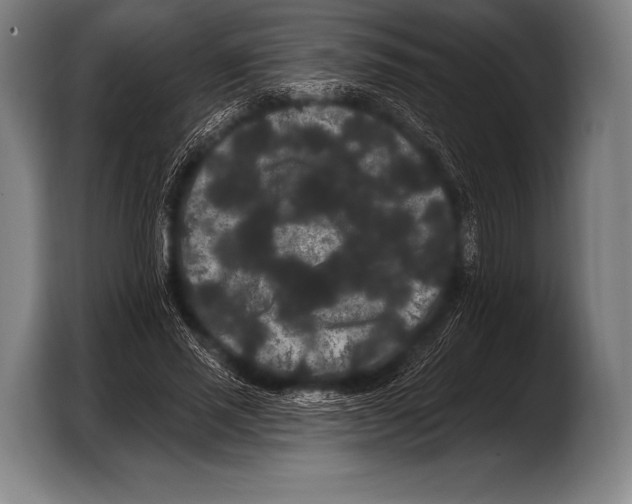 X0000103320637200810060955