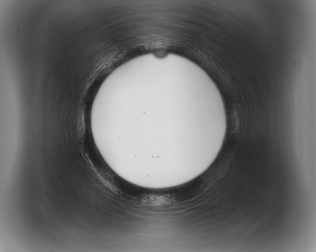 X0000103320638200810060955