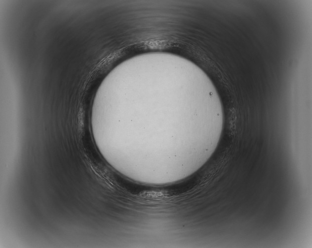 X0000103320639200810060955