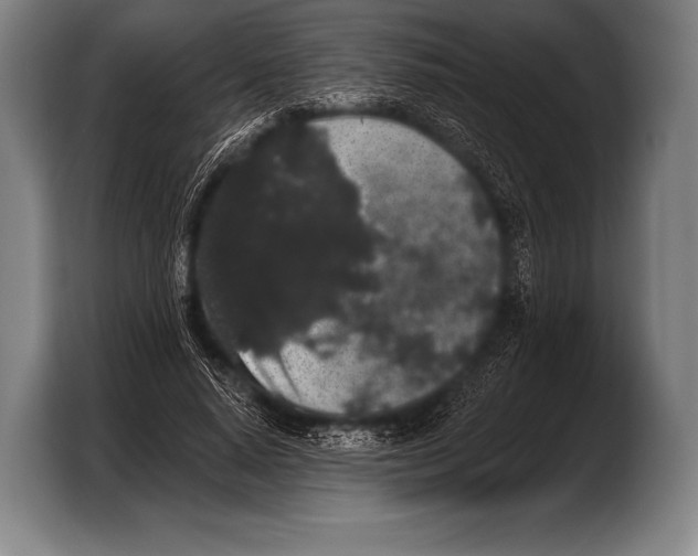 X0000103320640200810060955