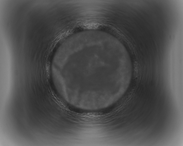 X0000103320641200810060955