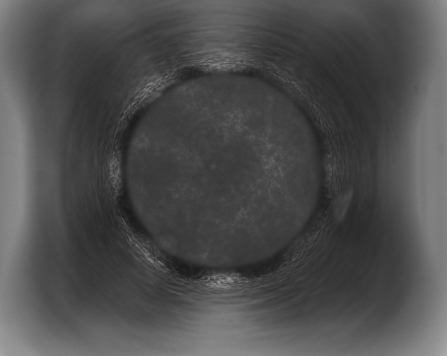 X0000103320642200810060955
