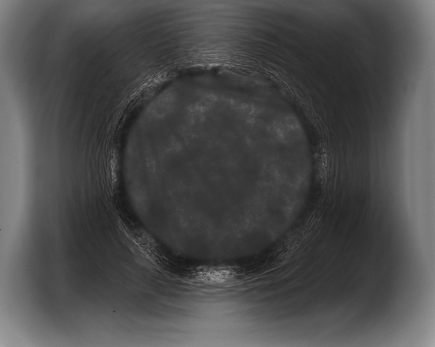 X0000103320643200810060955