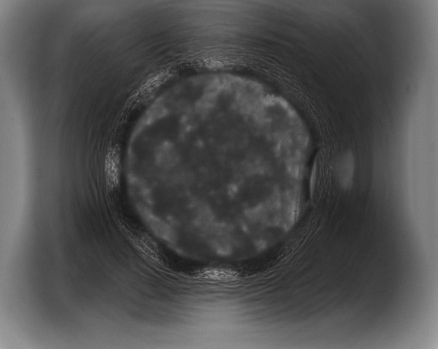 X0000103320644200810060955