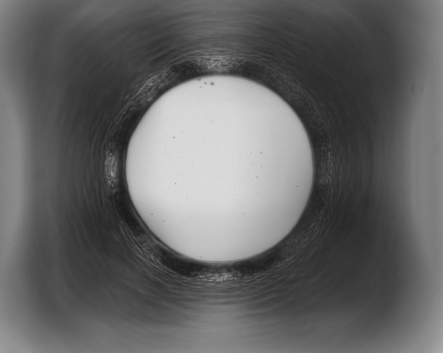 X0000103320646200810060955