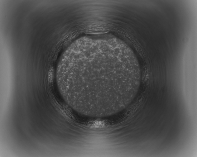 X0000103320647200810060955