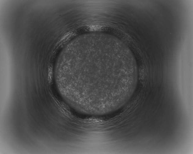 X0000103320648200810060955